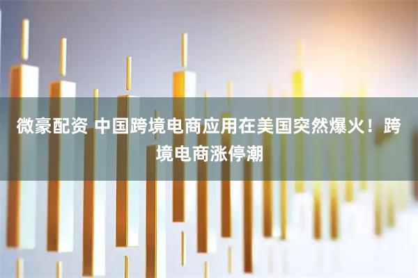 微豪配资 中国跨境电商应用在美国突然爆火！跨境电商涨停潮