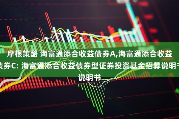 摩根策酪 海富通添合收益债券A,海富通添合收益债券C: 海富通添合收益债券型证券投资基金招募说明书