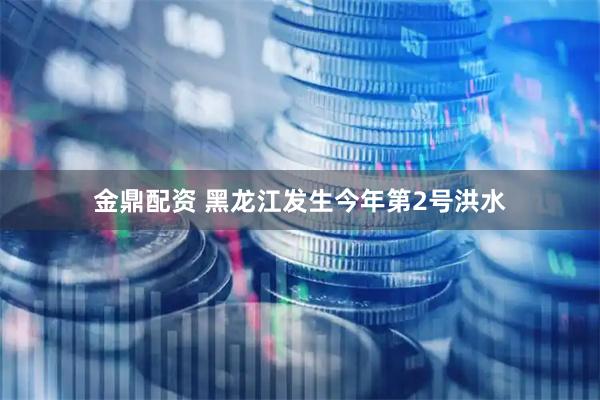 金鼎配资 黑龙江发生今年第2号洪水